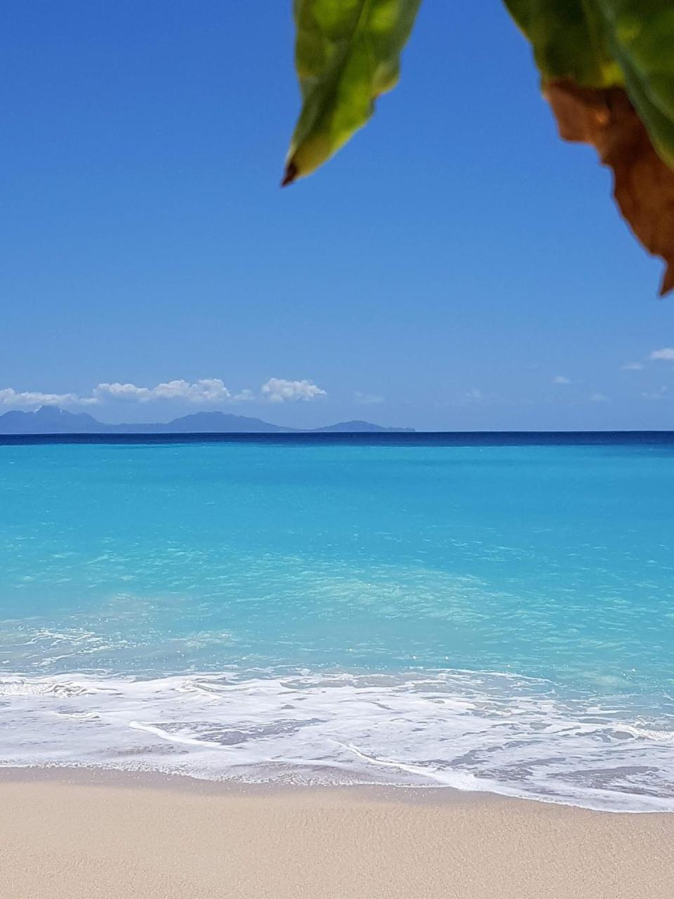 Dickenson Bay Oasis At Antigua Village St. John's Εξωτερικό φωτογραφία