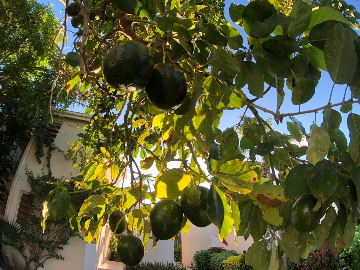 Dickenson Bay Oasis At Antigua Village St. John's Εξωτερικό φωτογραφία